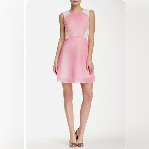 T Tahari Dresses & Skirts - Tahari Pink/White Barbiecore Mesh Sleeveless Lucille Dress Size 12 NWT